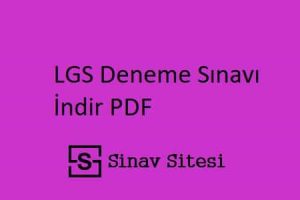 LGS Deneme Sınavı İndir PDF