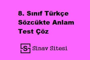8. Sınıf Türkçe Sözcükte Anlam Test Çöz