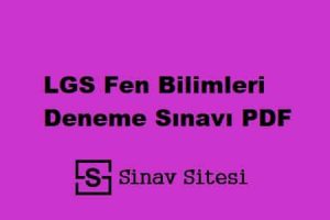 LGS Fen Bilimleri Deneme Sınavı PDF İndir