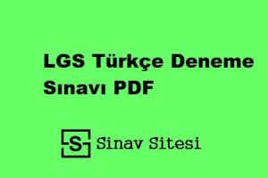 LGS Türkçe Deneme Sınavı PDF İndir