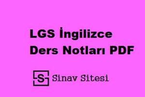 LGS İngilizce Ders Notları PDF İndir