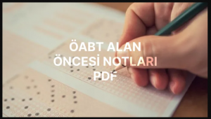 okul-oncesi-alan-notlari-pdf